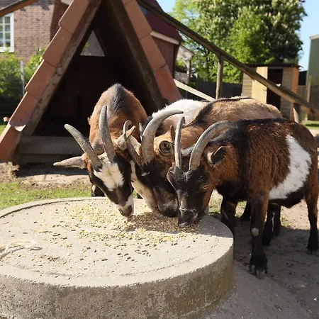 Feriegård Auf Dem Bio Obsthof *